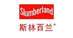 斯林百兰