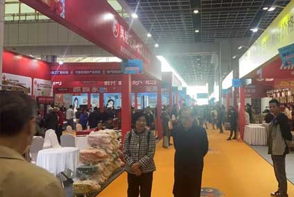 武汉家博会图二