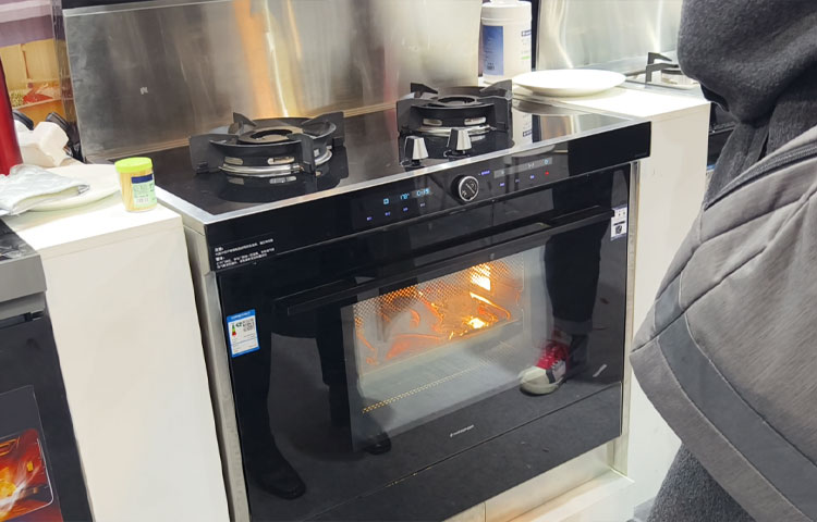 呼和浩特家博会图一