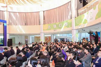 古镇灯博会图三